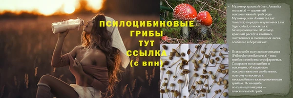 кокс Богородск