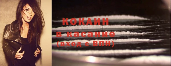 apvp Богданович